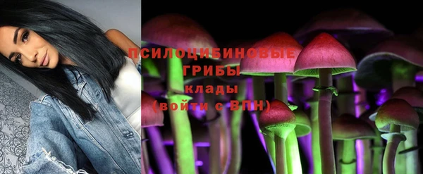 прущий лед Богданович