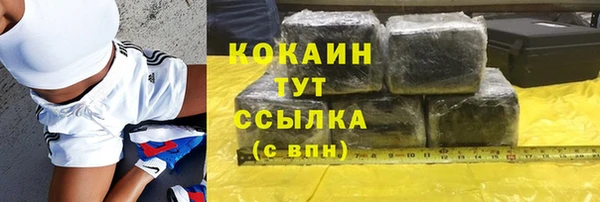 mix Богородицк