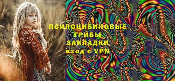 mix Богородицк