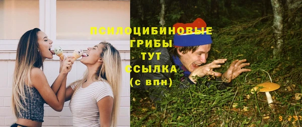 mix Богородицк