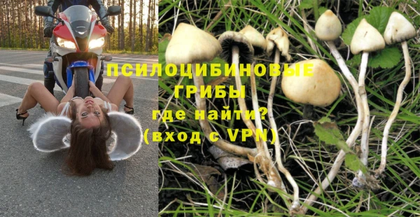 прущий лед Богданович