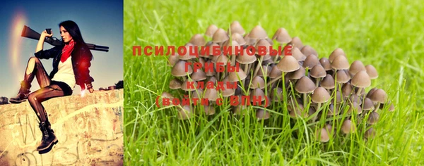 героин Рославль
