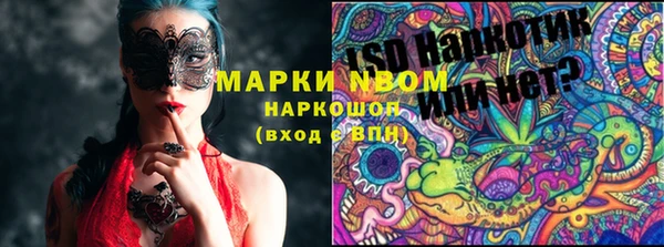 ПСИЛОЦИБИНОВЫЕ ГРИБЫ Белокуриха