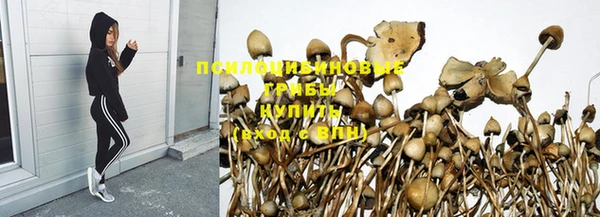 ПСИЛОЦИБИНОВЫЕ ГРИБЫ Белокуриха
