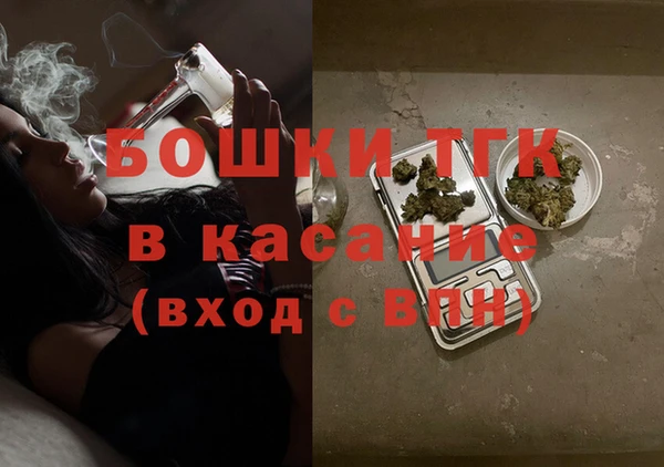 прущий лед Богданович