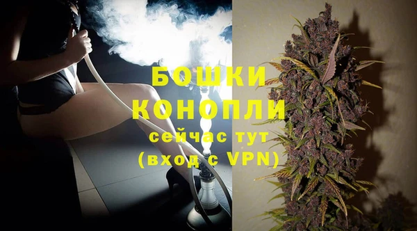 прущий лед Богданович