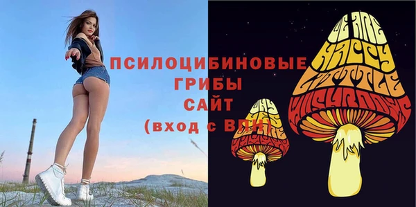 героин Рославль