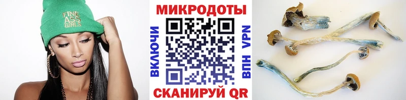 Псилоцибиновые грибы Psilocybine cubensis Томилино