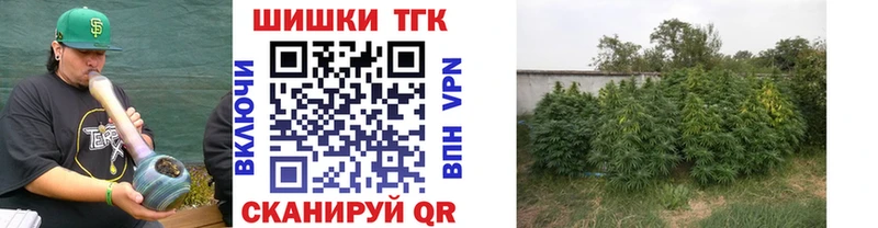 купить Томилино Конопля гибрид